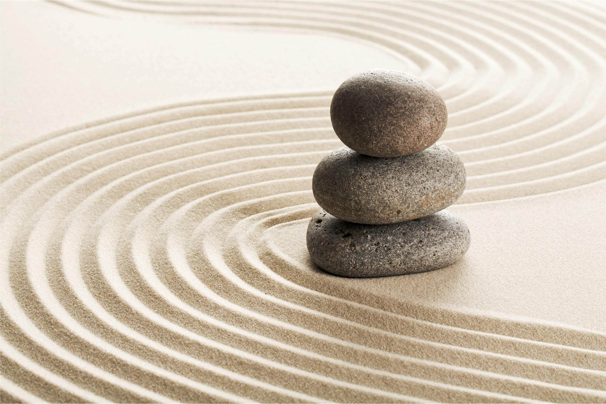Mindfulness: meditazione consapevole - Psicologa e Counselor Luciana Reginato